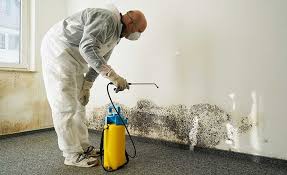 Best Attic Mold Removal  in Pleasant Hill, MS