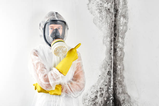 Best Residential Mold Inspection & Testing  in Pleasant Hill, MS