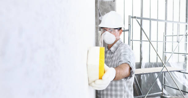 Best Mold Damage Restoration  in Pleasant Hill, MS