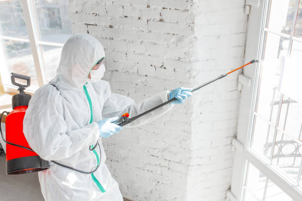 Best Forensic Mold Investigation  in Pleasant Hill, MS