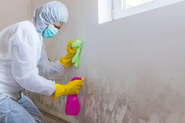 Best Mold Removal for HVAC Installations  in Pleasant Hill, MS