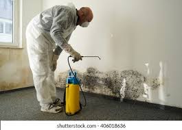 Why You Should Choose Our Mold Remediation Services in Pleasant Hill, MS